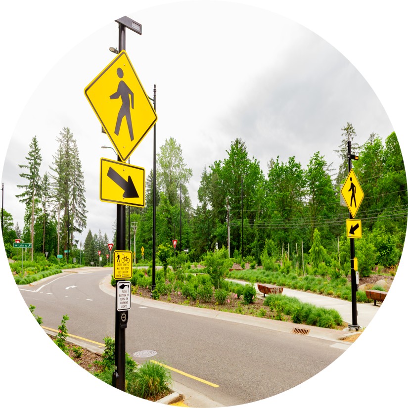 Vision Zero Committee