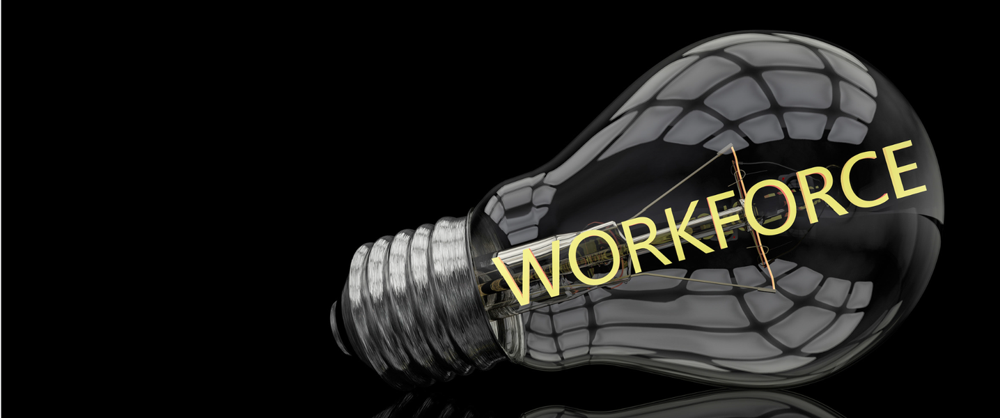 Workforce Development Series